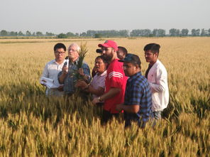 最新農(nóng)民土地政策補貼，推動農(nóng)業(yè)現(xiàn)代化與農(nóng)村振興的重要措施