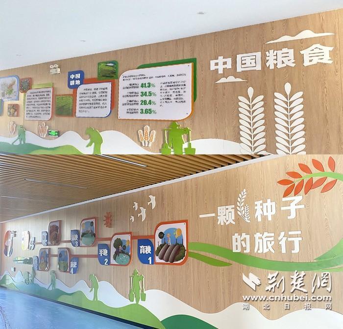 武漢愿景城最新動(dòng)態(tài)，城市發(fā)展的脈搏與未來(lái)展望
