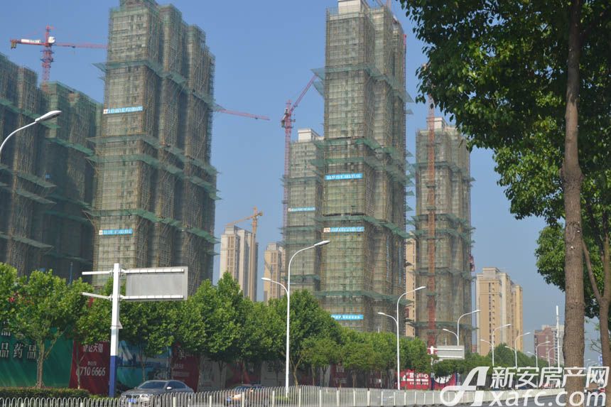 合肥信達天御最新動態(tài)，引領(lǐng)城市發(fā)展的璀璨明珠