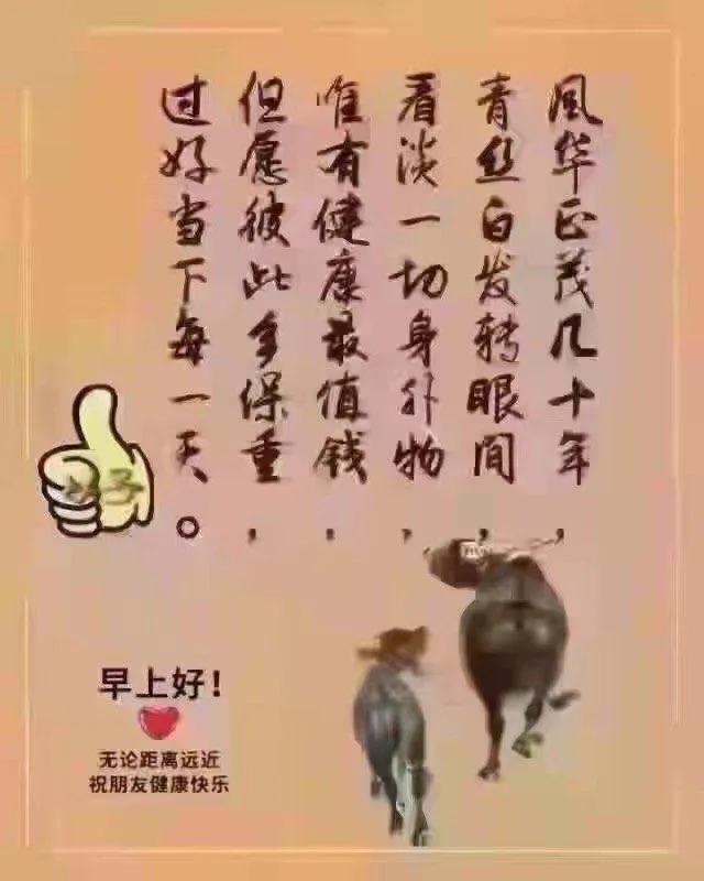談?wù)?017年最新視角下的友誼，深度解讀真摯情誼的珍貴與獨特魅力