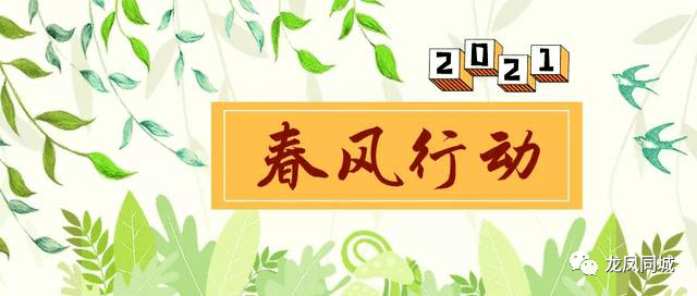 偃師吧，最新招聘動態(tài)與職業(yè)機會