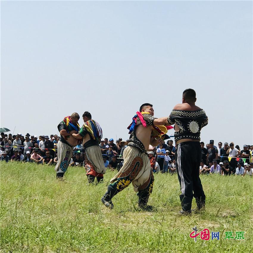 洛桑扎西最新藏歌專輯，音樂中的情感與傳承