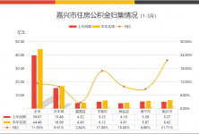 嘉興樓市最新消息，市場走勢、政策影響及未來展望