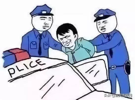 宜賓最新生豬價格查詢，市場走勢與影響因素分析