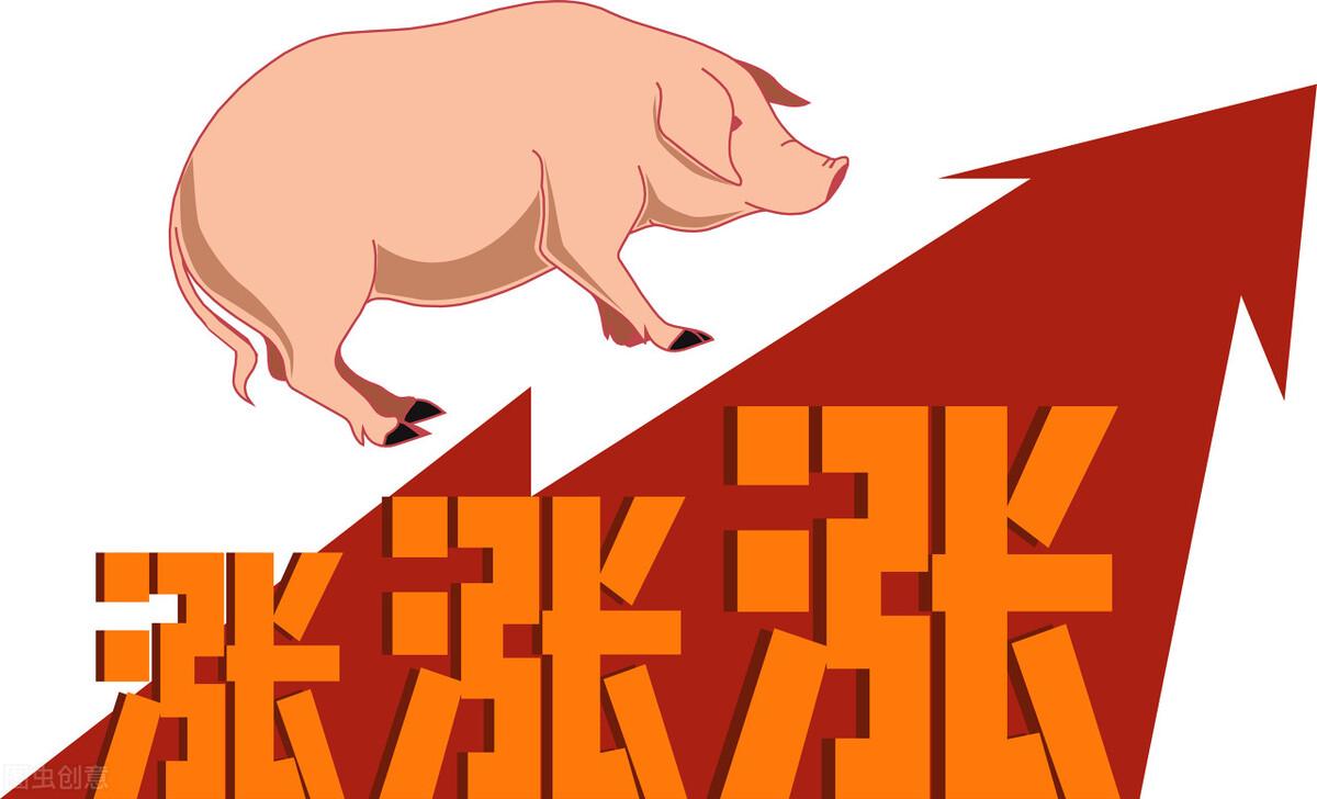 最新豬價錢分析，今天的市場動態(tài)與趨勢預(yù)測