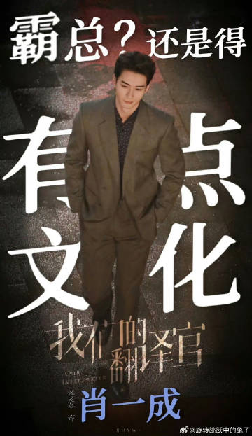 一肖一碼一一肖一子，探尋背后的神秘與魅力