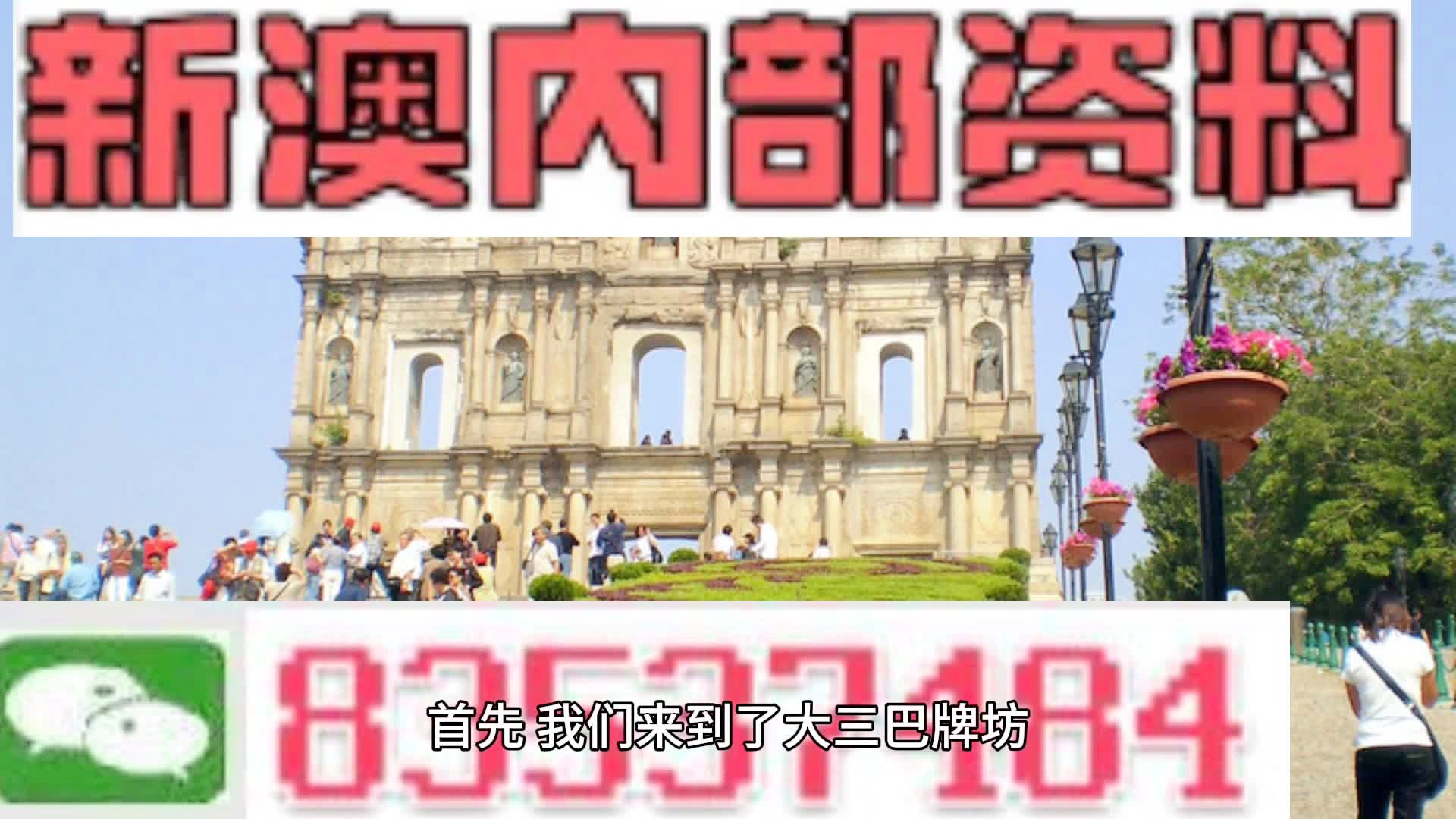新澳2024正版資料免費(fèi)公開，探索與揭秘