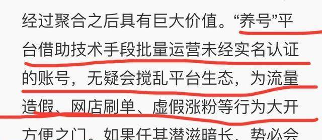 澳門三肖三碼精準(zhǔn)100%黃大仙，揭示背后的違法犯罪問題