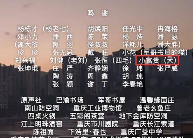 揭秘最準(zhǔn)一碼一肖，老錢莊的精準(zhǔn)預(yù)測(cè)之道