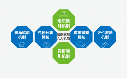 新奧門資料大全正版資料，探索與解讀