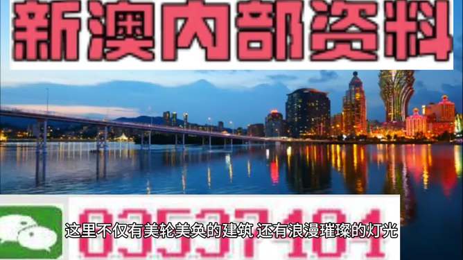 新澳門資料大全正版資料六肖，探索與解讀