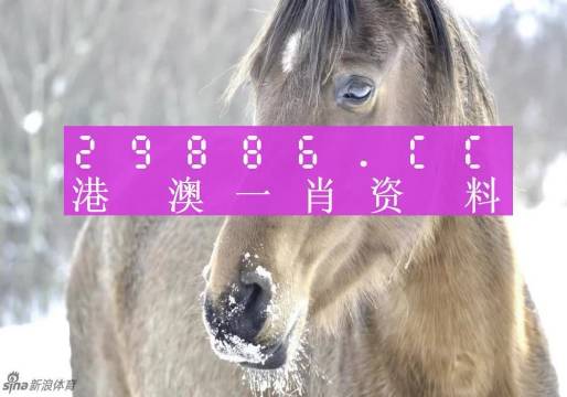 澳門(mén)一肖一碼100準(zhǔn)免費(fèi)資料，揭示背后的真相與風(fēng)險(xiǎn)