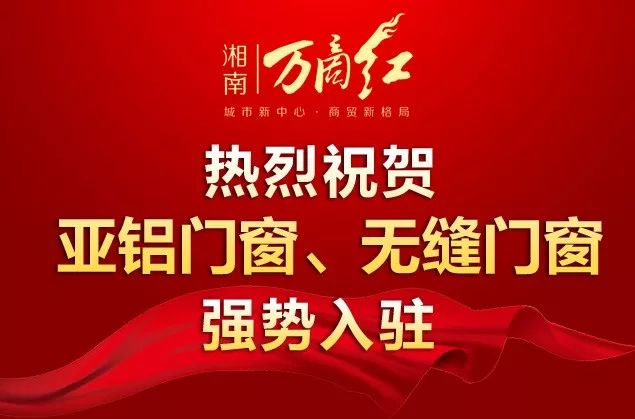 探索新奧門正版魅力，揭秘數(shù)字背后的故事