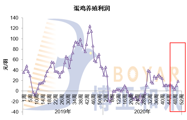 澳門跑狗圖與未來展望，探索2024正版資料的深度價值
