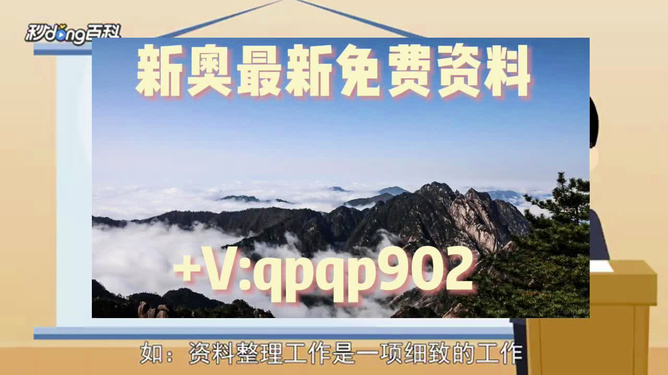 2024年新奧正版資料免費提供，探索與機遇