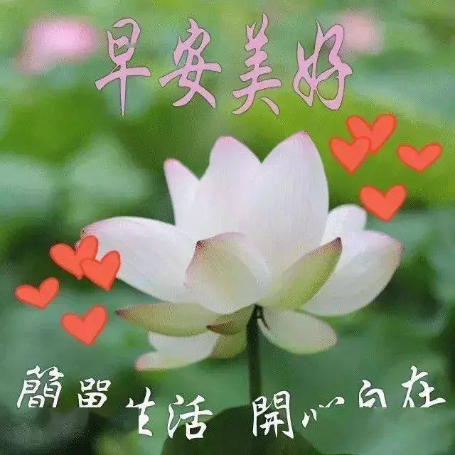 最新早上好，開啟美好的一天