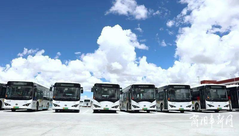 比亞迪最新款電動(dòng)汽車，科技與綠色的完美融合