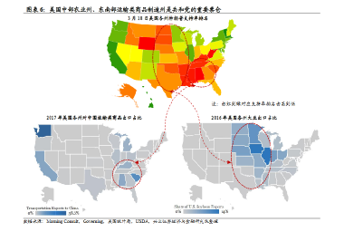 美國(guó)選舉最新消息，走向未來(lái)的投票大潮
