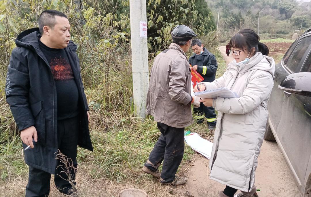 最新森林法全文解讀