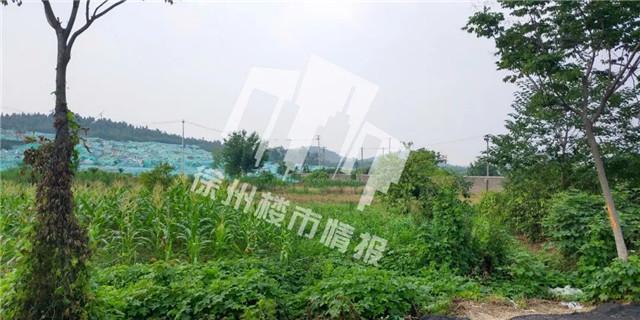 徐州房產(chǎn)拍賣最新動(dòng)態(tài)，市場走勢與前景展望